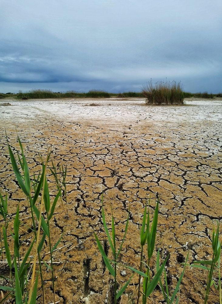 Photograph by Eva Wiedemann