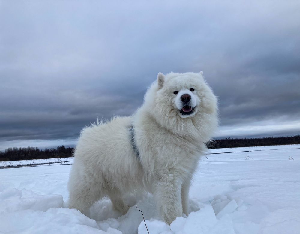 Photograph by Катя Филиппова