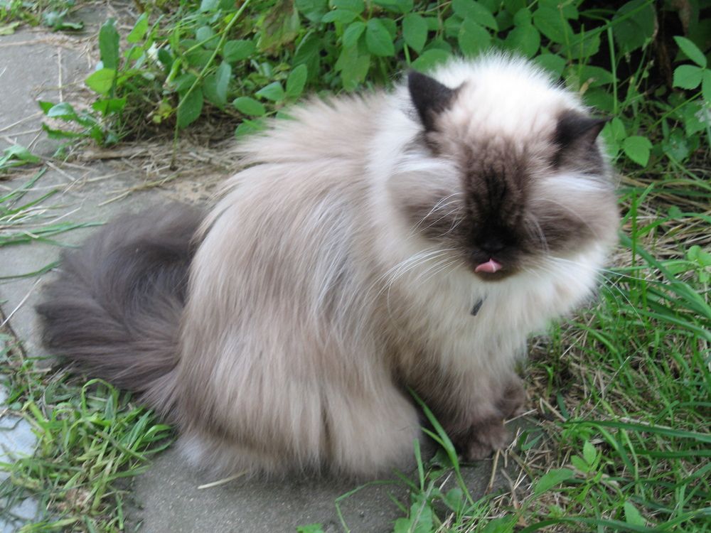 Фотография автора Марина Карасева