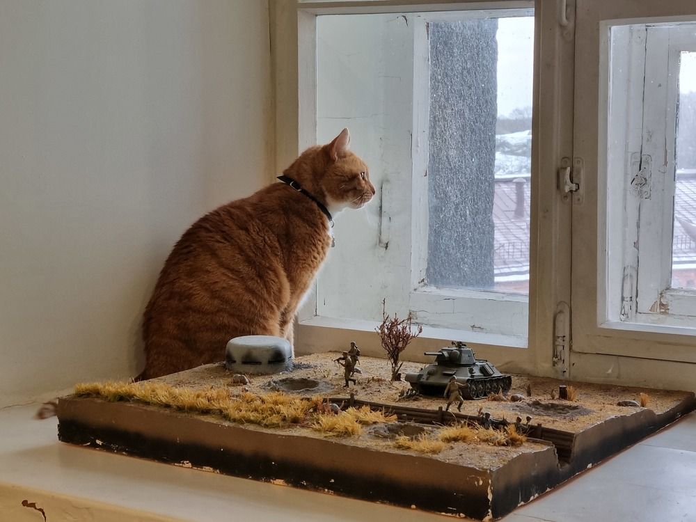 Фотография автора Марина Карасева