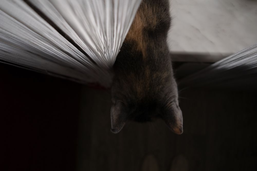 Photograph by Ирина