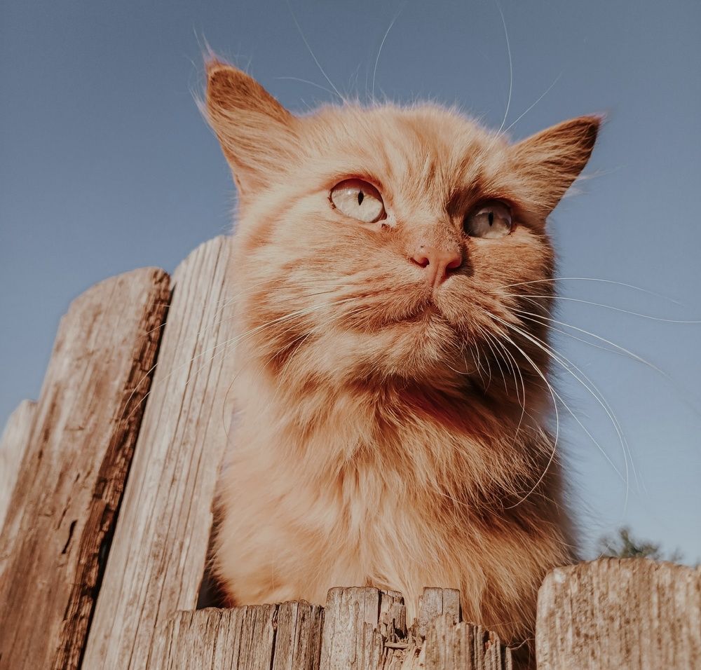 Photograph by Анна Подашевская