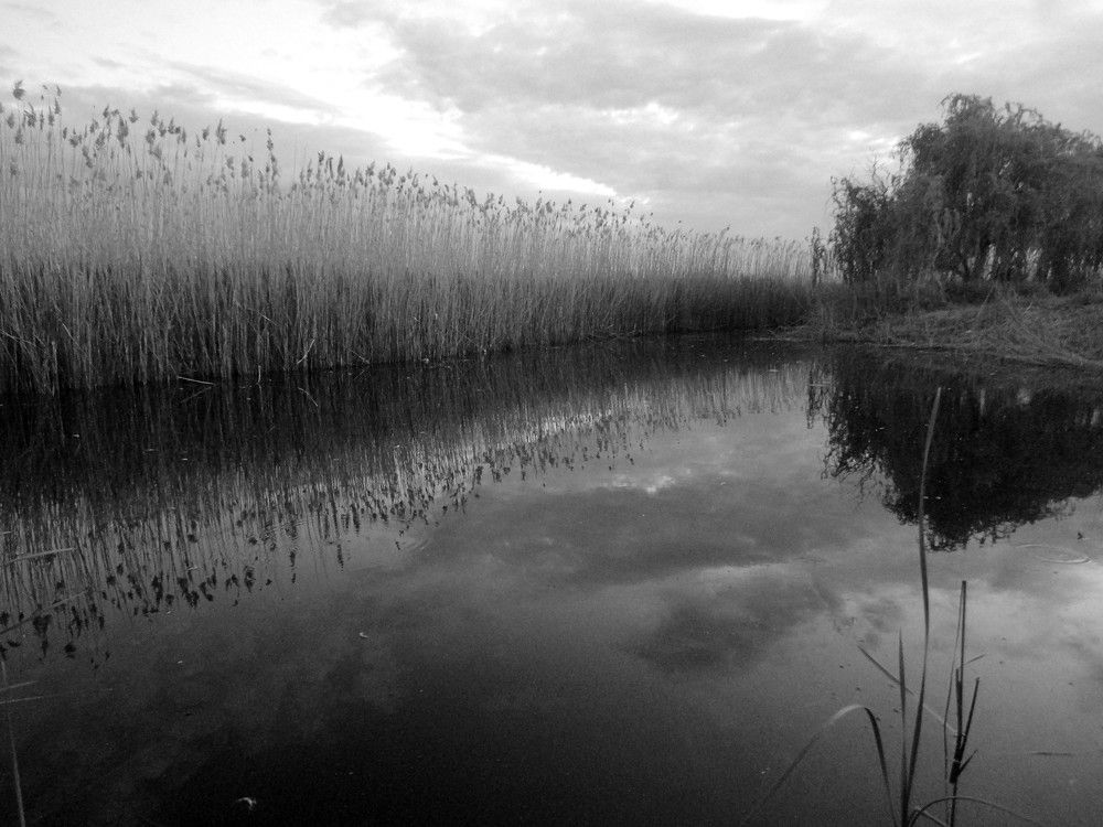 Photograph by Дмитрий Соколов