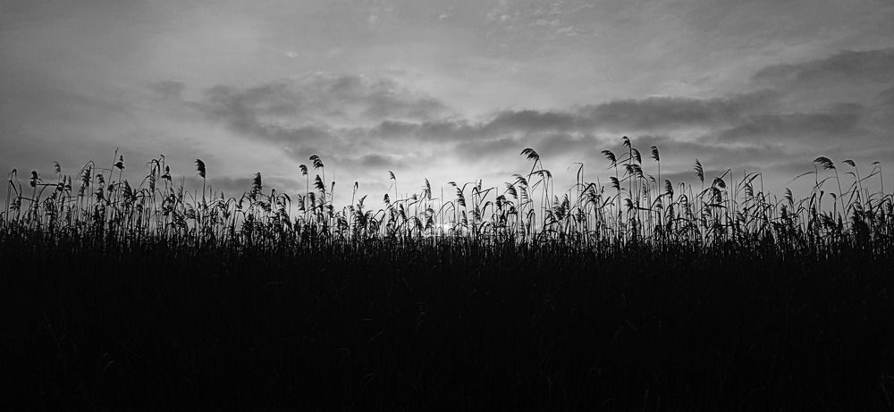 Photograph by Дмитрий Соколов