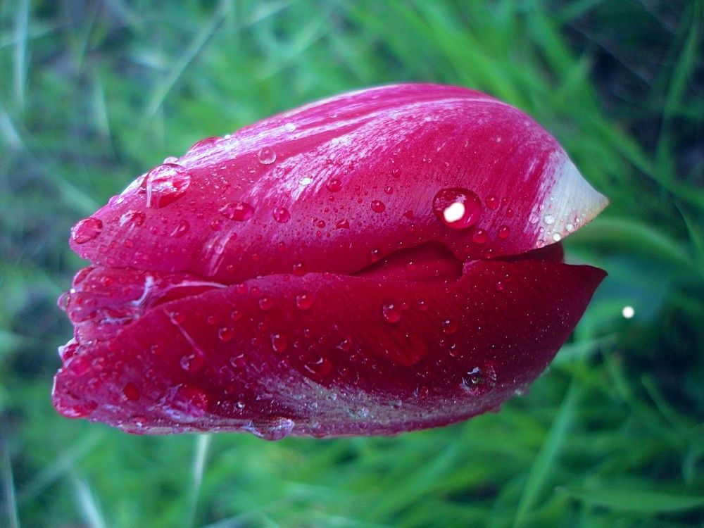 Photograph by Дмитрий Соколов