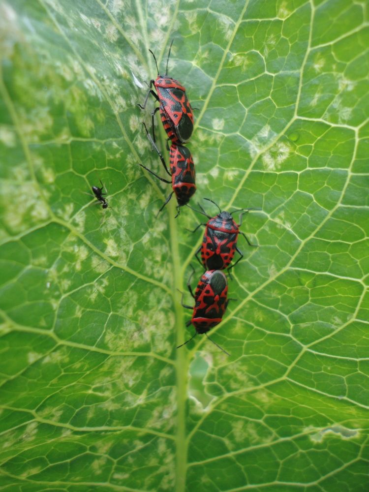 Photograph by Дмитрий Соколов