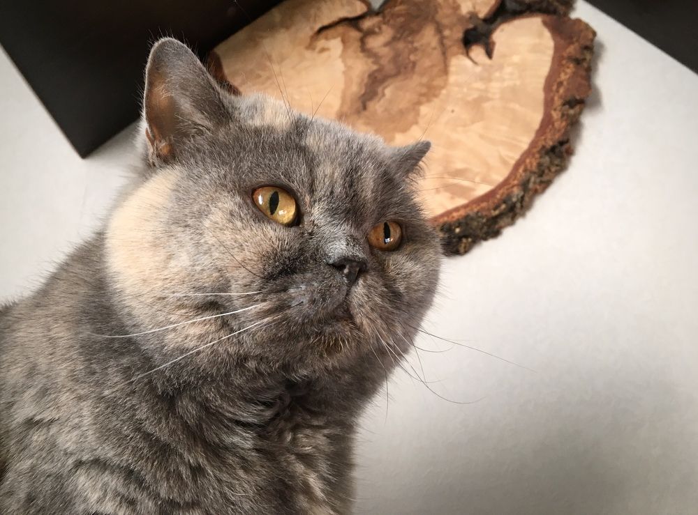 Photograph by Anton Nagel