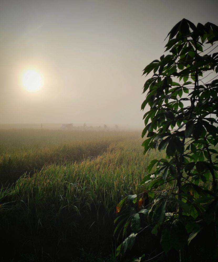 Photograph by  Oscar Simon Wiryahanjaya