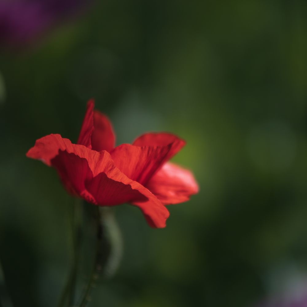 Photograph by Budyta Dariusz