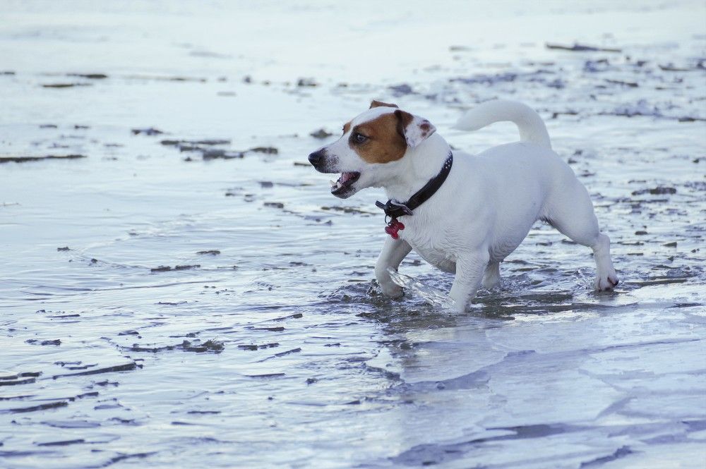 Photograph by Andrei Baburin