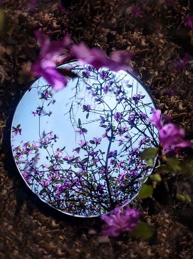 Photograph by Анна Колесниченко