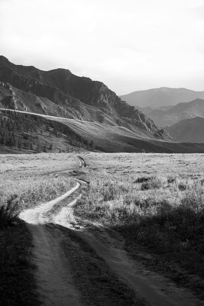 Photograph by Светлана Вайльхен