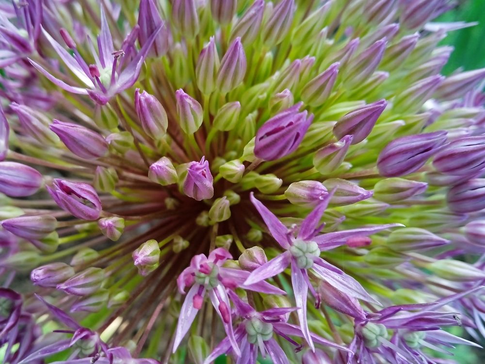 Photograph by Нина Мехнина