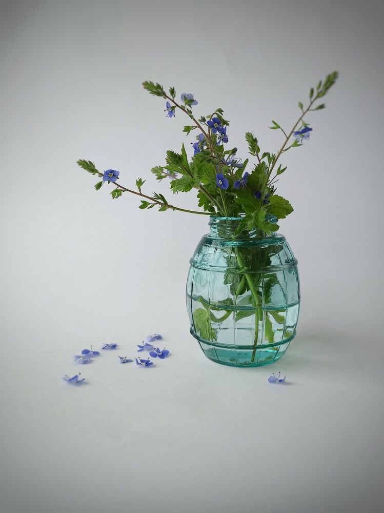 Photograph by Наталия Степанова