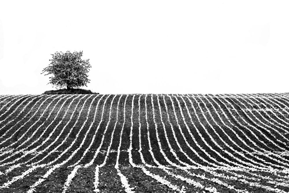 Photograph by Ralitsa Byalkova