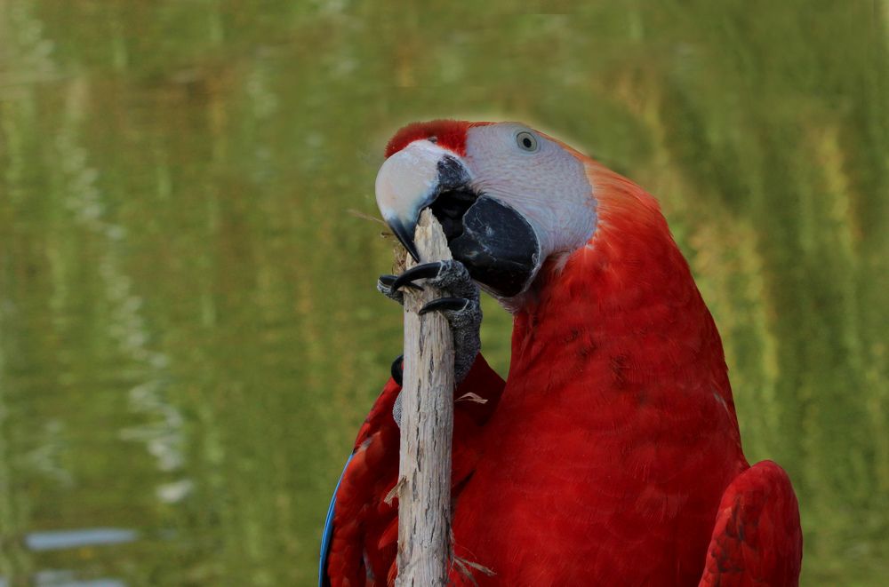 Photograph by Manish (Valmie) Joshi