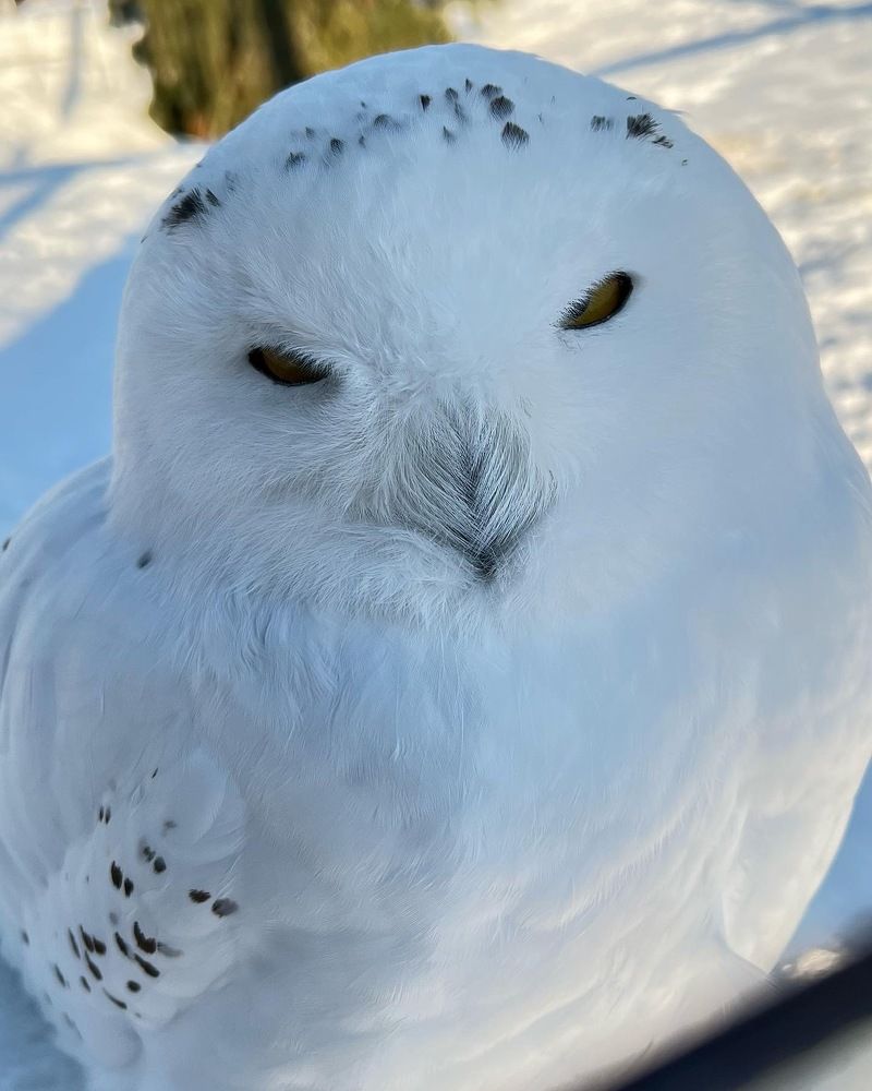 Photograph by Надежда Золотарёва