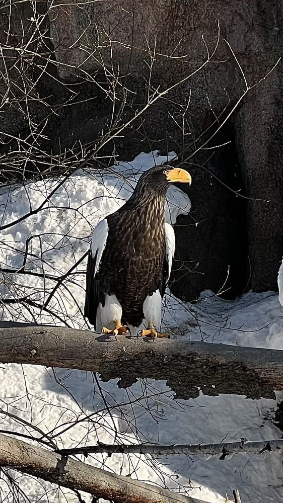 Photograph by Надежда Золотарёва