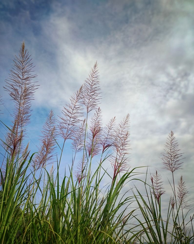 Photograph by  Oscar Simon Wiryahanjaya