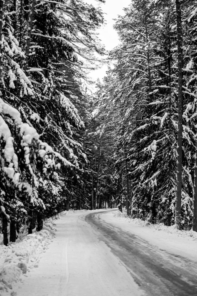 Photograph by Сергей Петренко