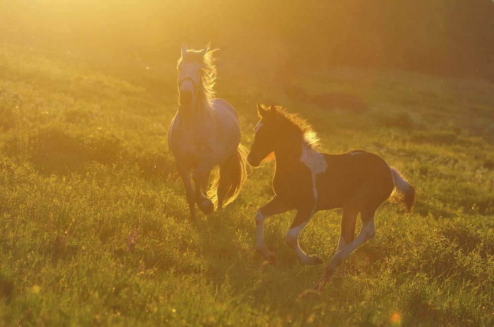 Photograph by Татьяна Ларина