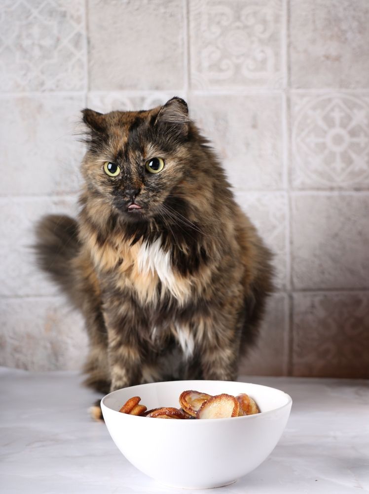 Photograph by Юлия Гудкова