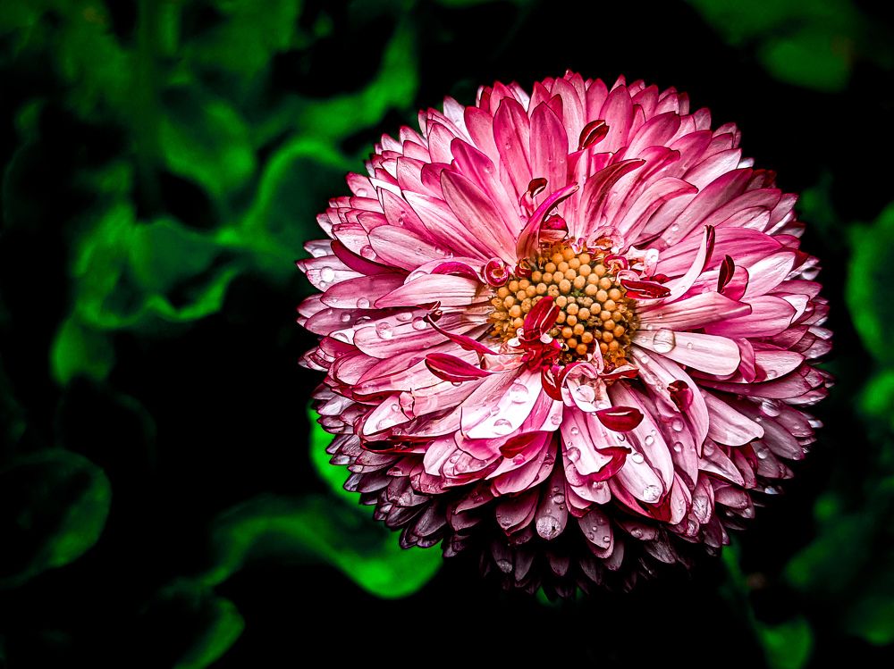 Photograph by Дмитрий Малышев