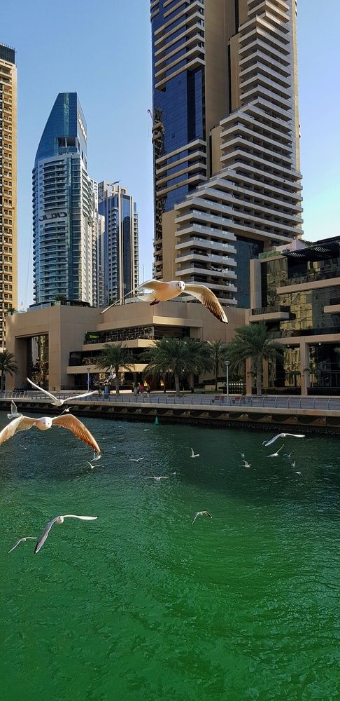 Photograph by Оксана