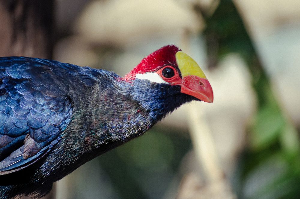 Photograph by Наталья Кокорина