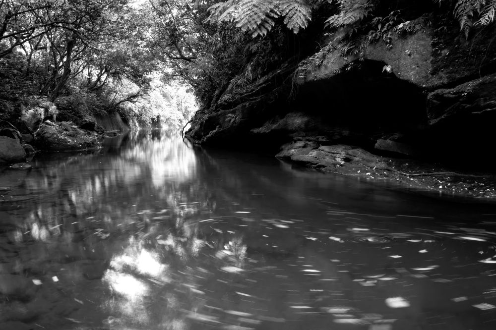 Photograph by Danny lai