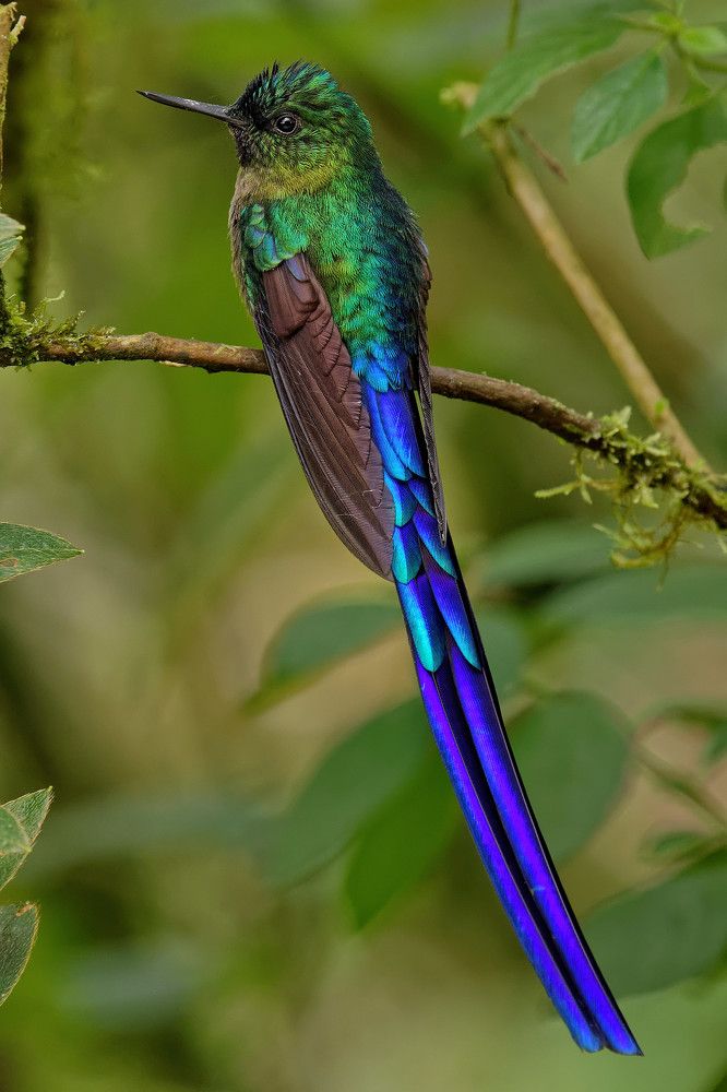 Фотография автора Олег Набровенков