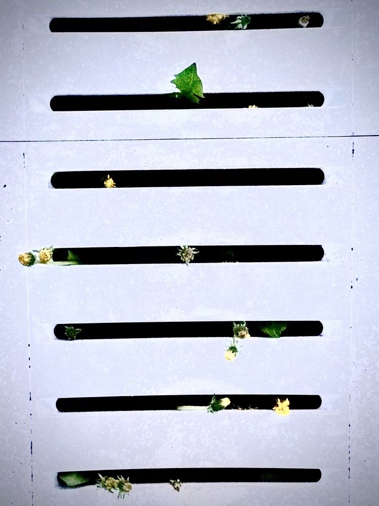 Photograph by Александра Гореленко