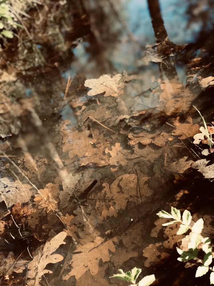 Photograph by Александра Гореленко