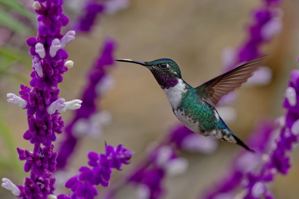 Photograph by Олег Набровенков