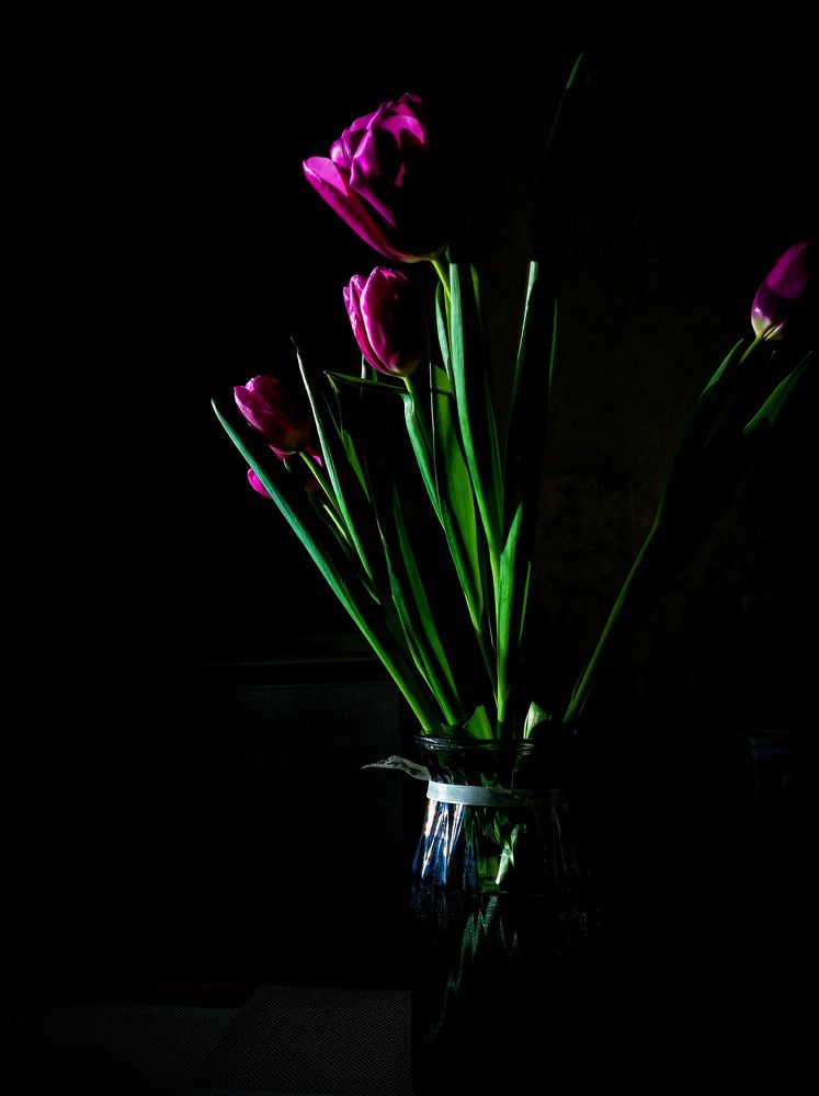 Photograph by Katerina Kulickaya