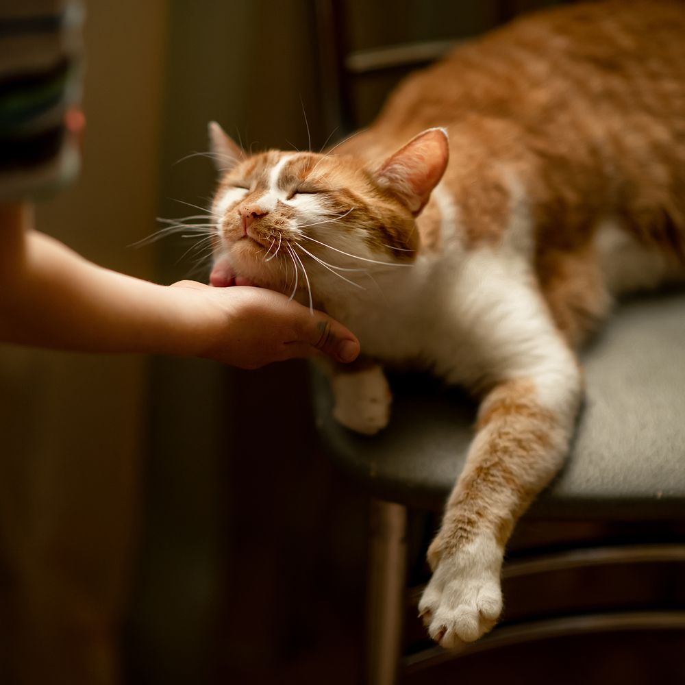 Photograph by Наталия Арсюткина