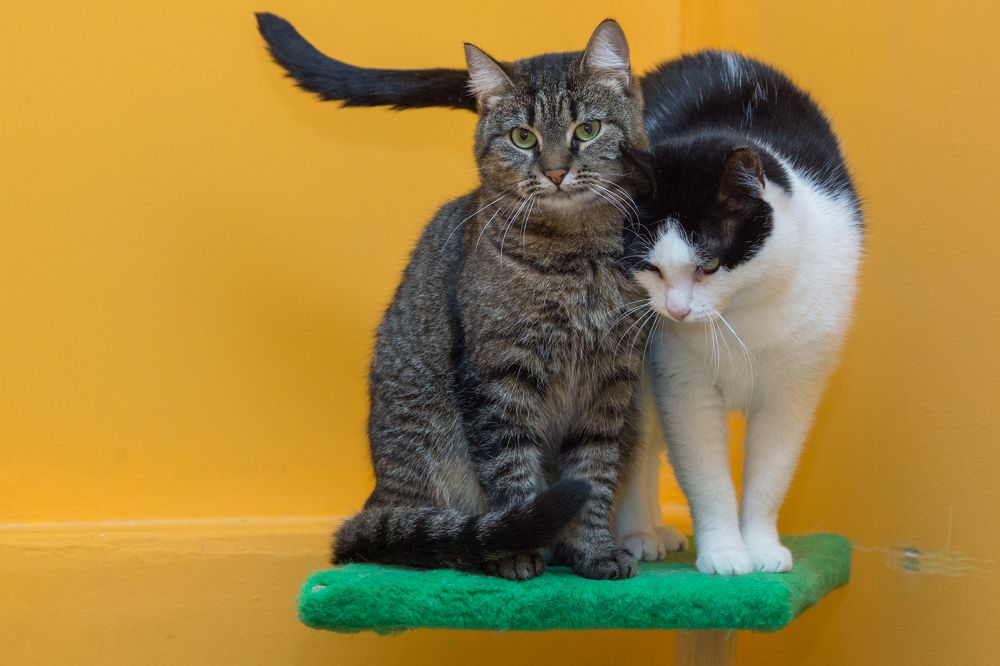 Photograph by Инна Юдина