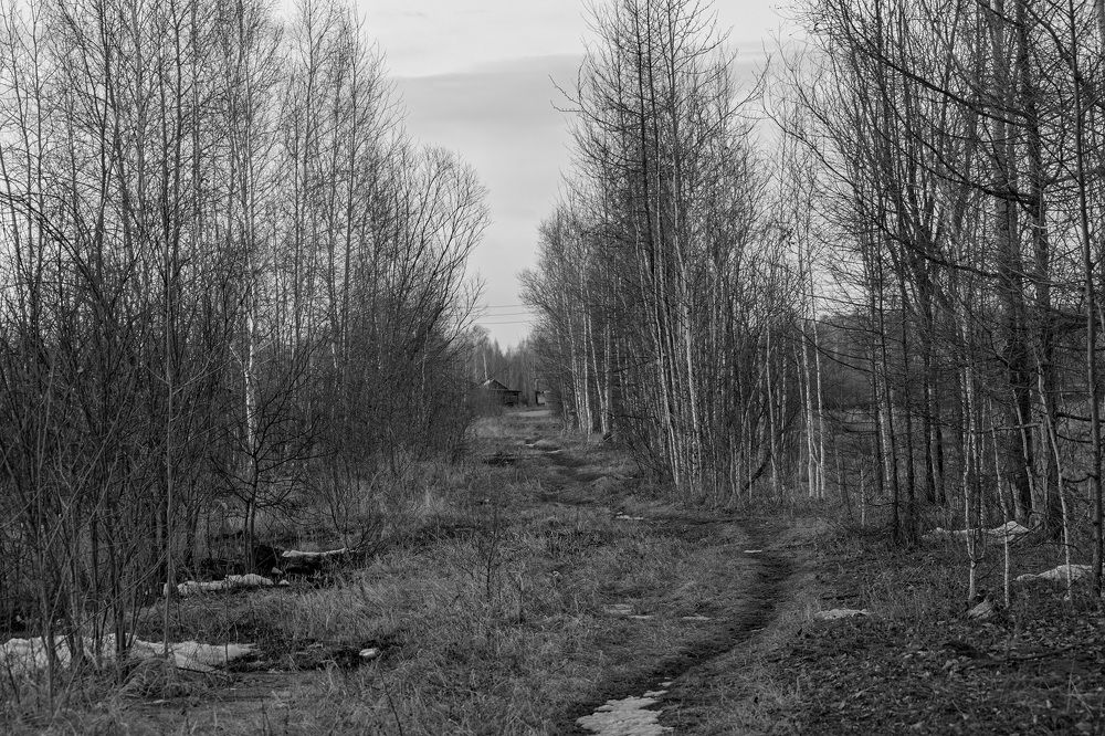 Photograph by Блохина Ольга