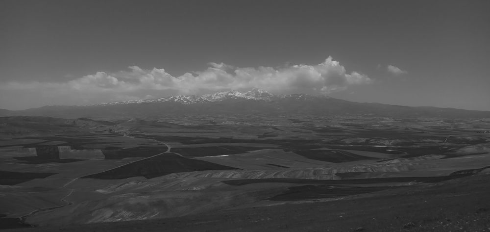 Photograph by Roghayeh Dannandeh