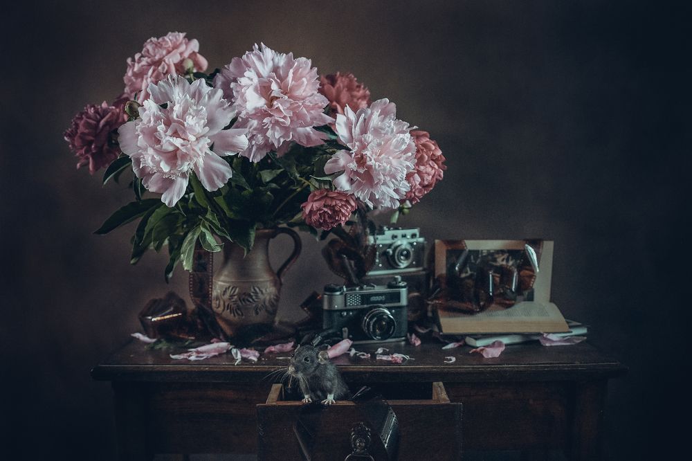 Пионовый вечер!