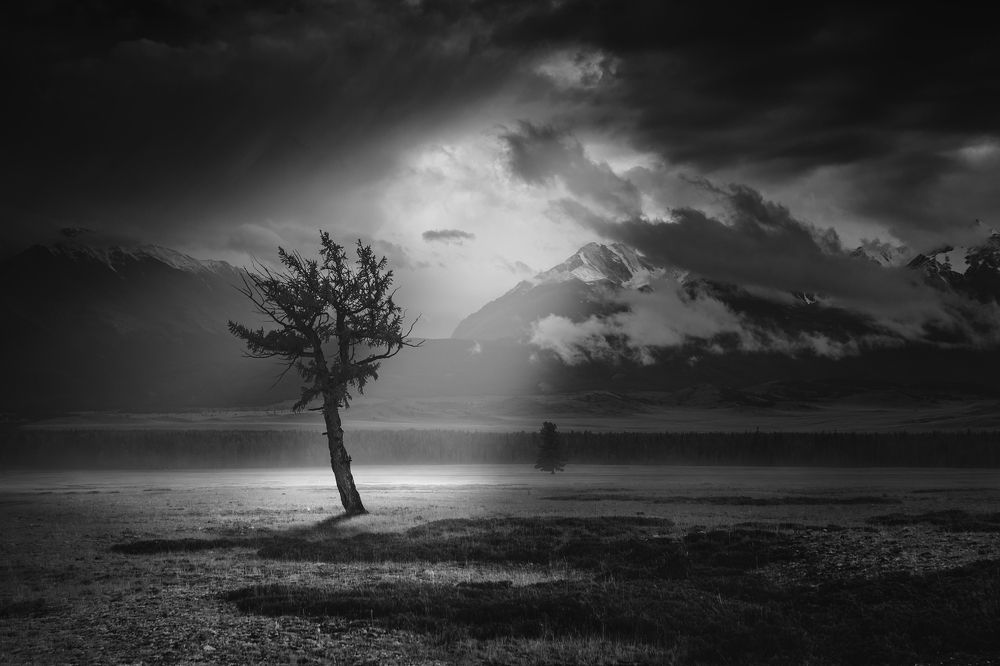 В Курайской степи прошли дожди