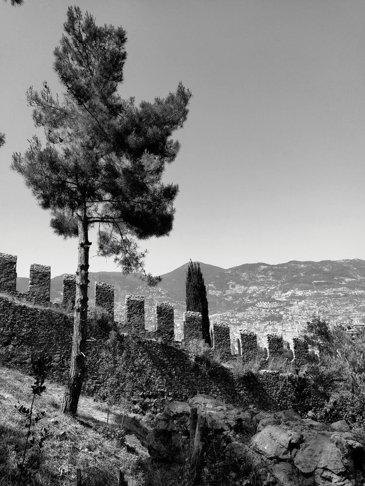 Photograph by Елена Бохолдина