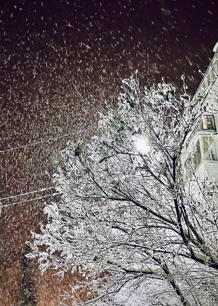 Photograph by Maria Romanova