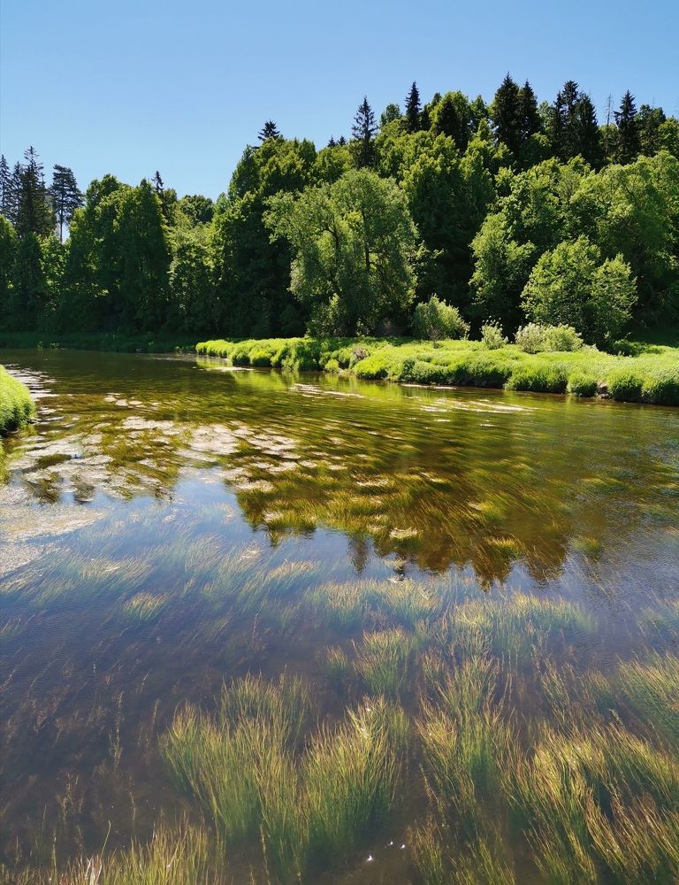 Photograph by Оксана Николаева