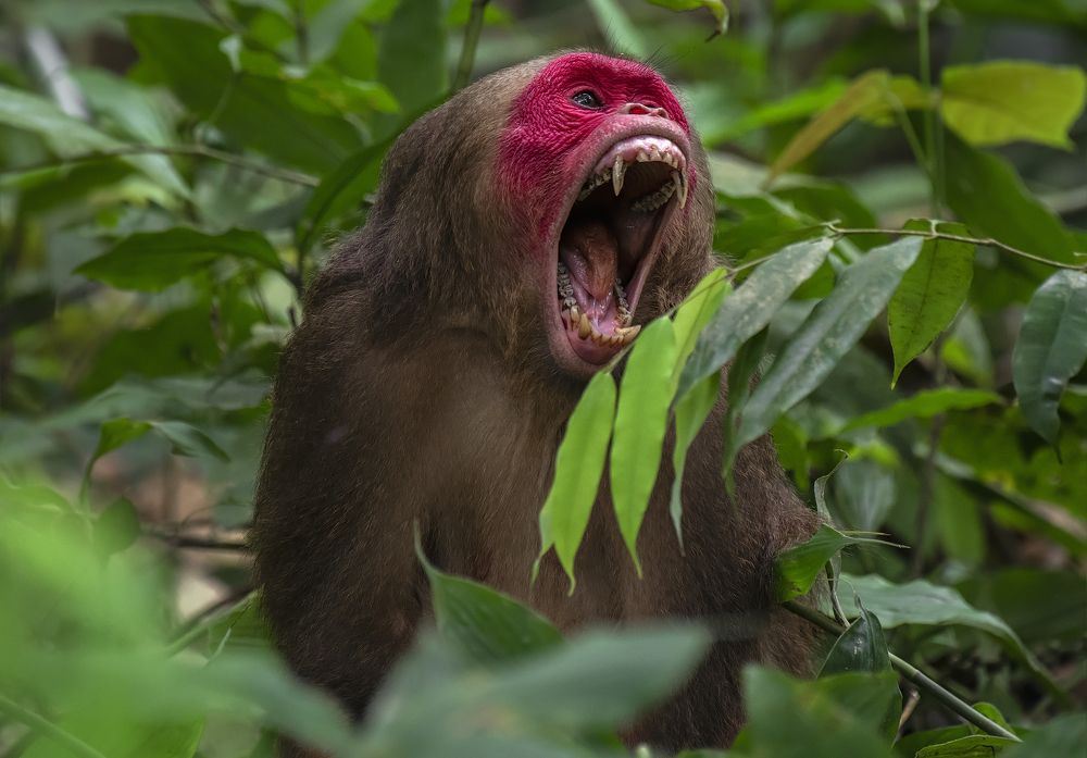 Photograph by Souvick Mukherjee