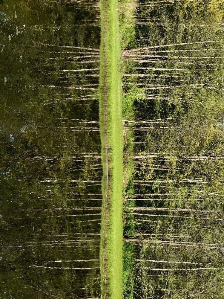 Photograph by Александра Гореленко