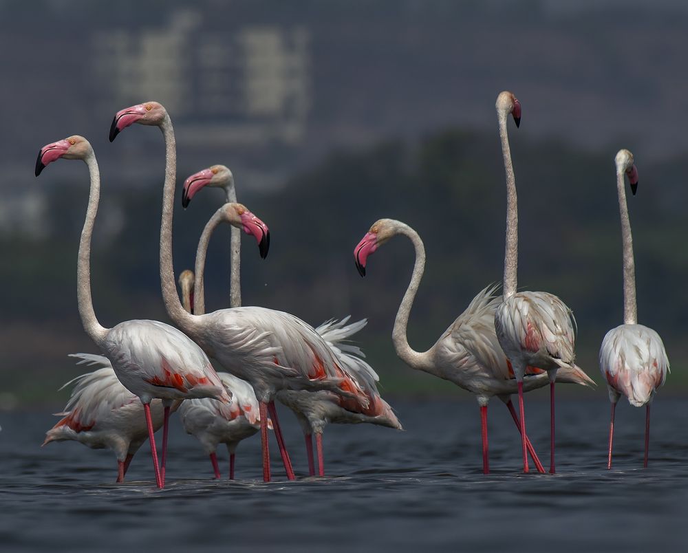 Photograph by Souvick Mukherjee