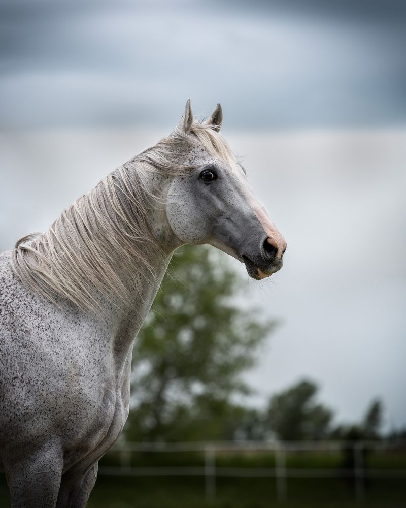 Photograph by Нина Дорожинская