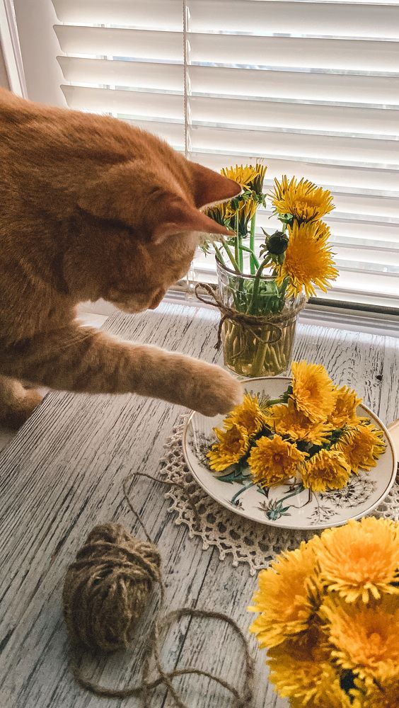 Photograph by Маргарита