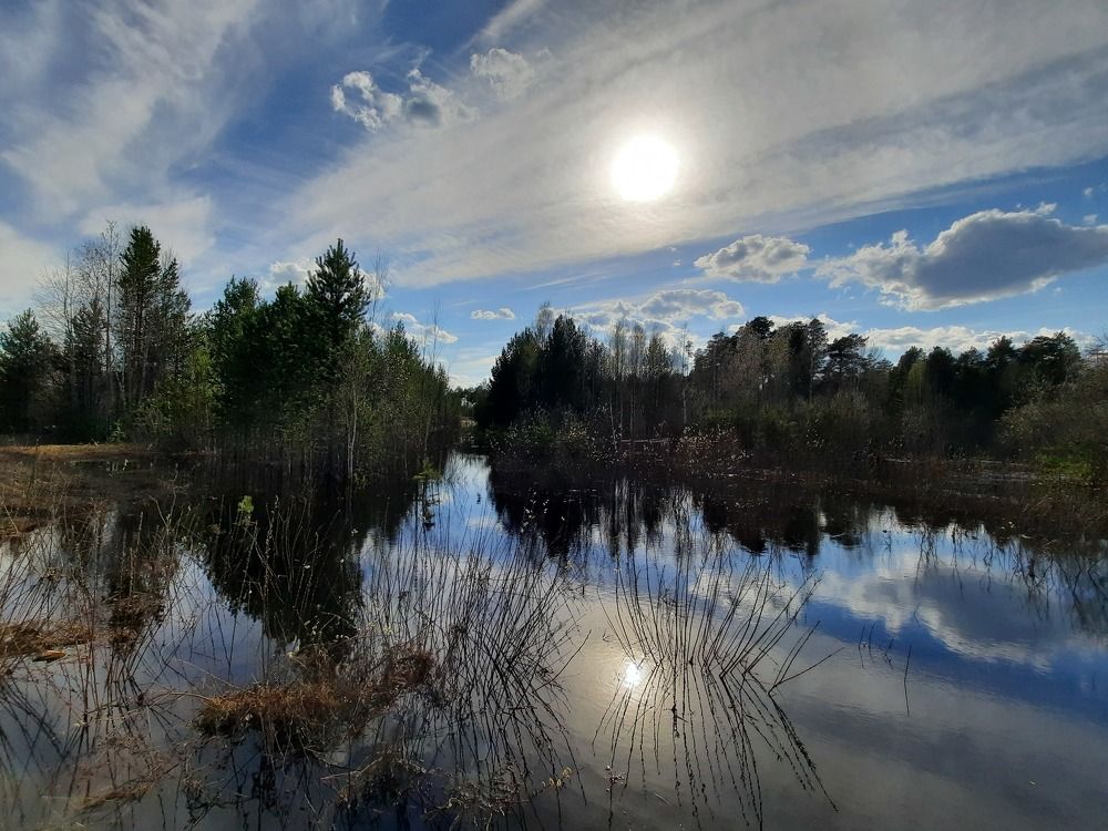 Photograph by Людмила Е.